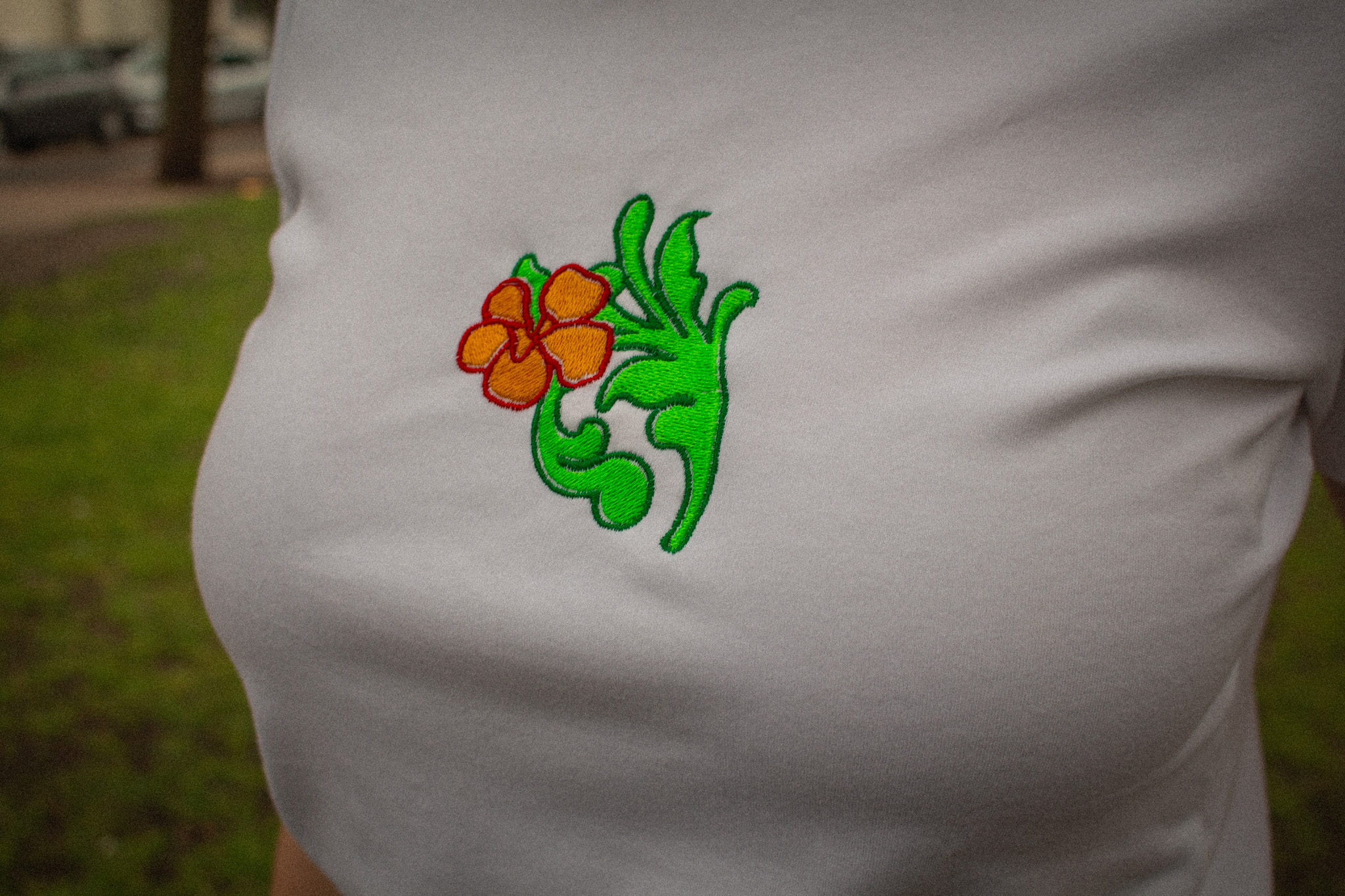 Process images of letters